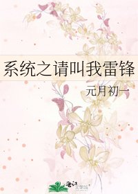 系統之請叫我雷鋒