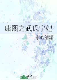 康熙之武氏寧妃