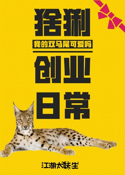 猞猁創業日常