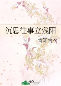 沉思往事立殘陽