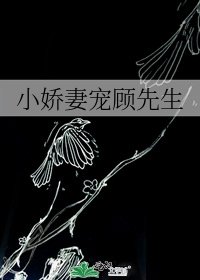 小嬌妻寵顧先生