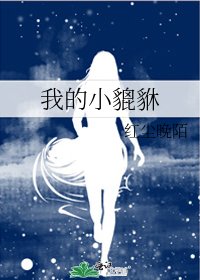 我的小貔貅