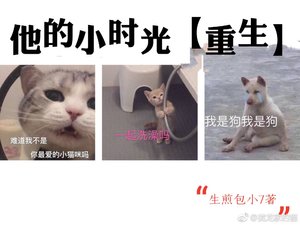 他的小時光重生