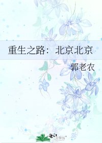 重生之路:北京北京