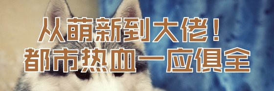 從萌新到大佬！都市熱血一應俱全