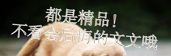 都是精品！不看會後悔的文文哦