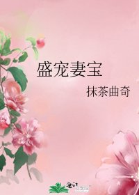盛寵妻寶