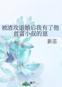 被渣攻退婚後我有了他首富小叔的崽
