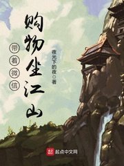 帶着微信購物坐江山