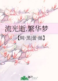 流光逝.繁華夢