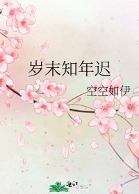 歲末知年遲