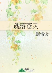 魂落蒼靈