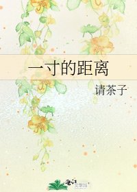 一寸的距離