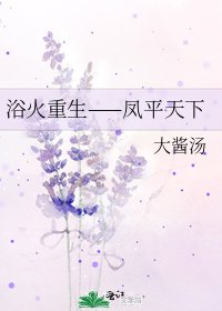 浴火重生——鳳平天下