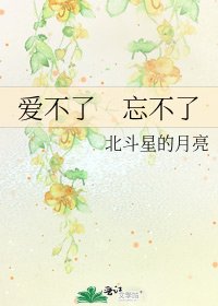 愛不了 忘不了
