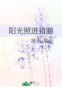 陽光照進豬圈