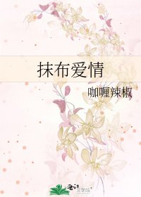 抹布愛情