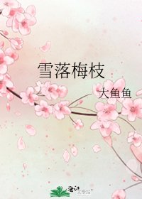 雪落梅枝