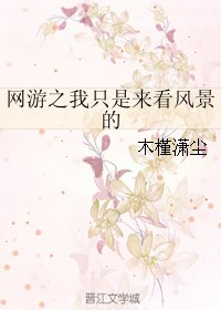 網遊之我只是來看風景的