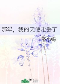 那年,我的天使走丟了