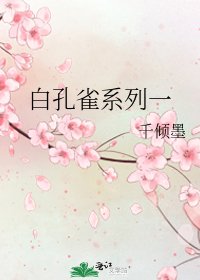白孔雀系列一