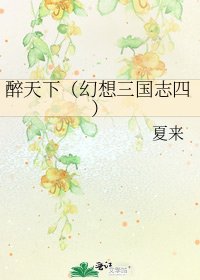醉天下(幻想三國志四)