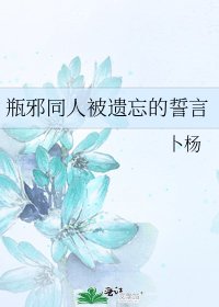 瓶邪同人被遺忘的誓言