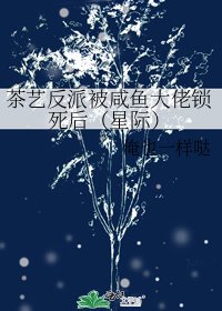 茶藝反派被鹹魚大佬鎖死後(星際)