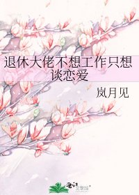 退休大佬不想工作只想談戀愛