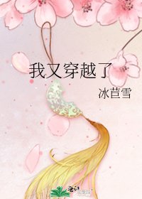 我又穿越了