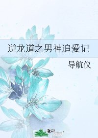 逆龍道之男神追愛記