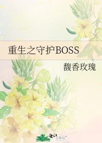 重生之守護BOSS