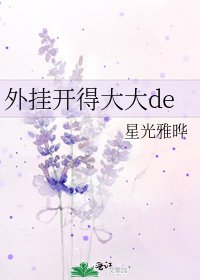 外掛開得大大de