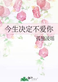 今生決定不愛你
