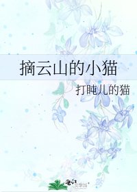 摘雲山的小貓