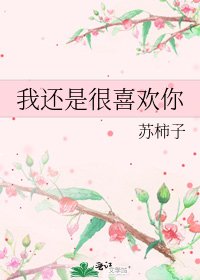 我還是很喜歡你