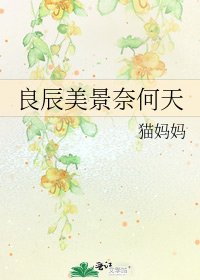 良辰美景奈何天
