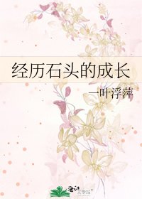 經歷石頭的成長