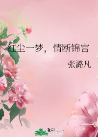 紅塵一夢,情斷錦宮