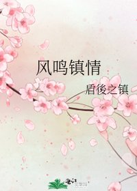 風鳴鎮情