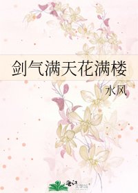 劍氣滿天花滿樓