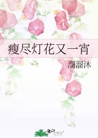 瘦盡燈花又一宵