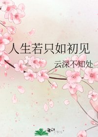 人生若只如初見