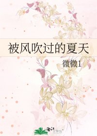 被風吹過的夏天