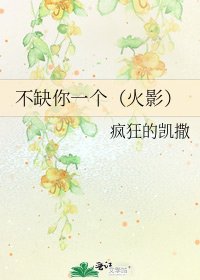 不缺你一個(火影)