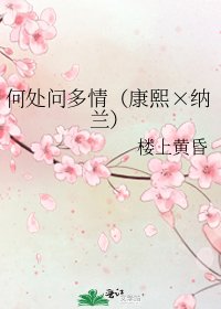 何處問多情(康熙×納蘭)