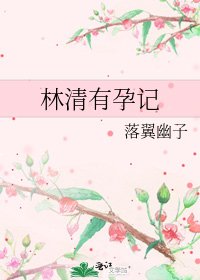 林清有孕記
