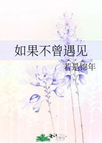 如果不曾遇見