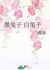 黑兔子 白兔子
