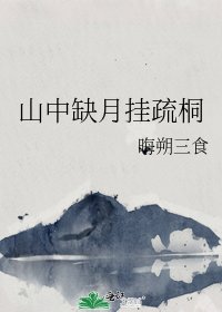 山中缺月掛疏桐